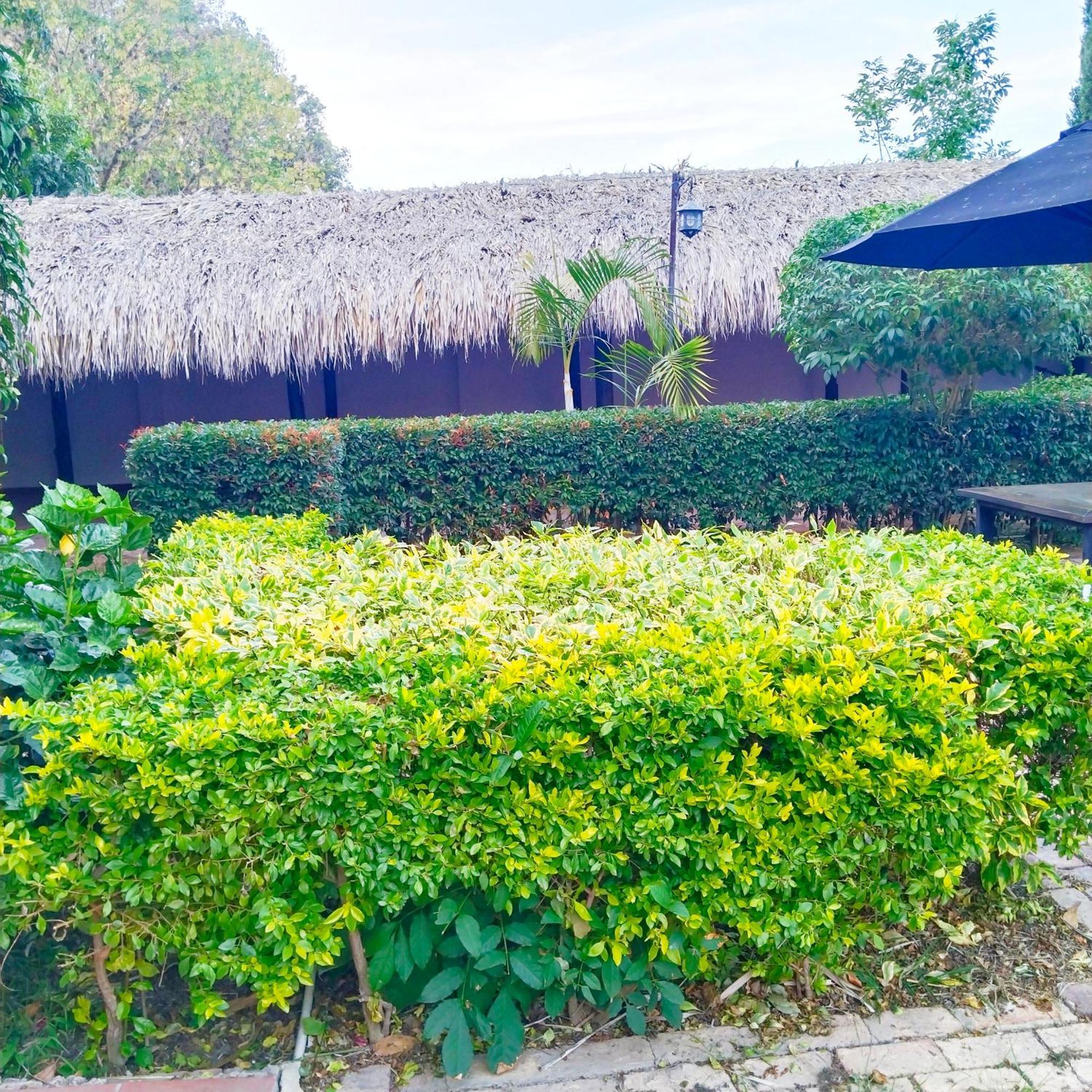 Hostal Balcon De Anita Rancho Tranquera Виля Де Лейва Екстериор снимка